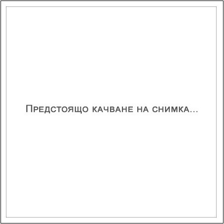 Калъф за автодокументи SILVER FLAME